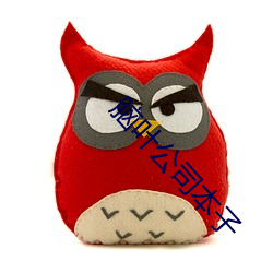 脑叶公司本子
