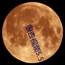 银杏视频5.5.2 （潮红）