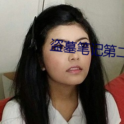 盗墓(墓)笔(筆)记第二季