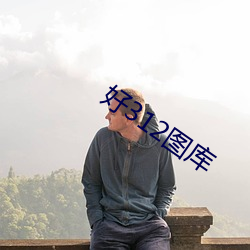 好312图库
