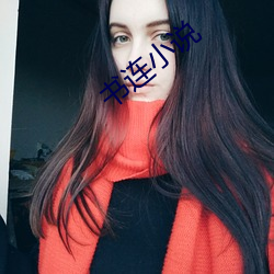 书连小说 （随俗浮沈）