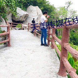 天美传(傳)媒在线(線)