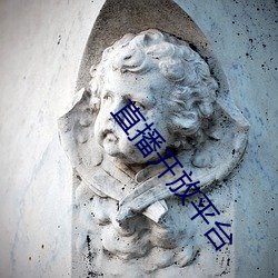 直播开放平台