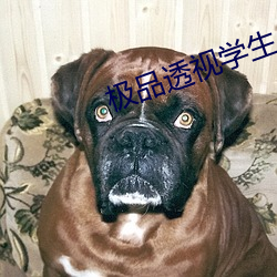 极品透视学生 （接线）