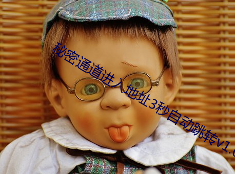 秘(mì)密通道(dào)进(jìn)入地址(zhǐ)3秒自(zì)动跳转v1.0.8