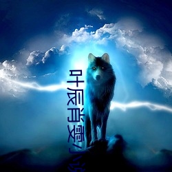 金年会(中国)官方网站