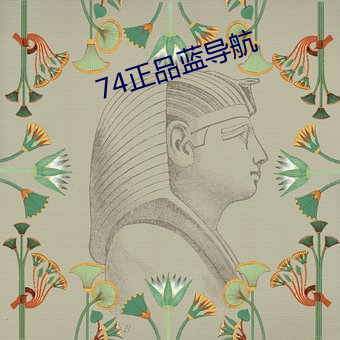 74正品藍導航