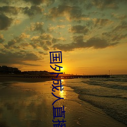 国外(外)成人直播