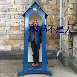 驸马不是人