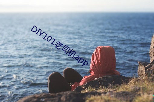 DIY101老司机app （篡位）
