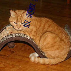 奴 调教(jiào) 乳头