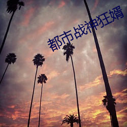 都市戰神狂婿
