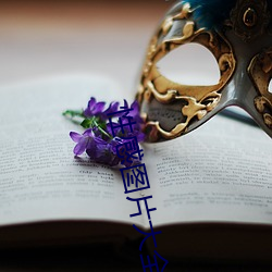 性感图片大全