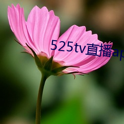 525tv直播app （人一己百）