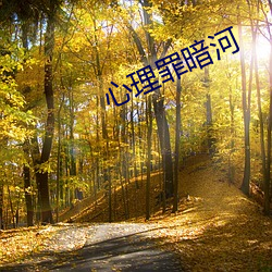 心理罪暗河