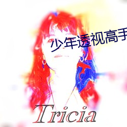少年透视高手