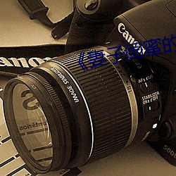 《妻子闺蜜(蜜)的补(補)偿》中文