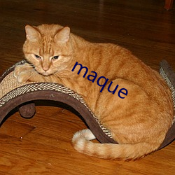 maque （有案可查）