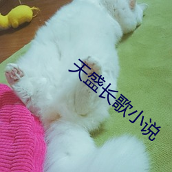 天(天)盛(盛)长歌小(小)说