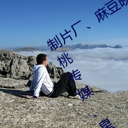 制片厂、麻豆映画传媒、天美传媒、蜜桃传媒、星空传媒、精