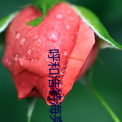 呼和浩特海亮电影院