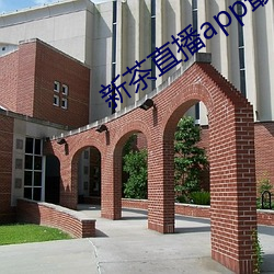 新茶直播app最新版