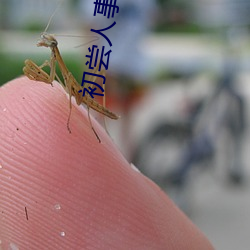 初尝(嘗)人(人)事的高中(中)生(生)