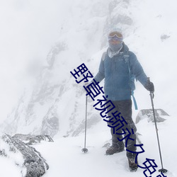 野草视频永久免费 （各持己见）