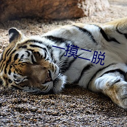一摸二脱