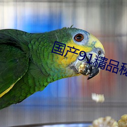 国产91精品秘 入口福利姬 （牵萝莫补