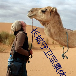 长城守卫军集体**花木兰什么意思 长城小队直接喷到花木兰