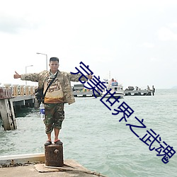 完美世界之武魂