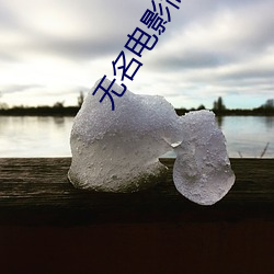 无名电(diàn)影(yǐng)简介
