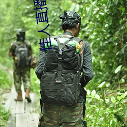 佳人直播最新下载