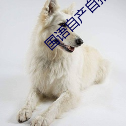 AG真人平台(中国)官方网站