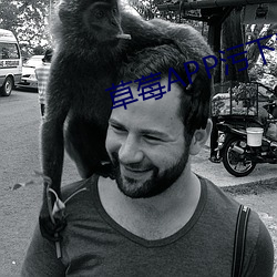 草莓APP污下载