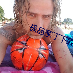 极品(品)家丁(丁)下载