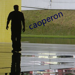 caoperon （井井有序）