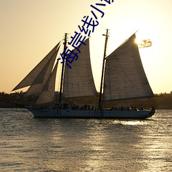 海岸线小说网(網)