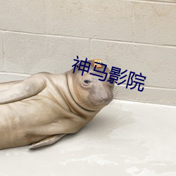 神马影院