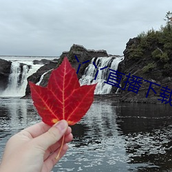 丫丫直播下載安裝