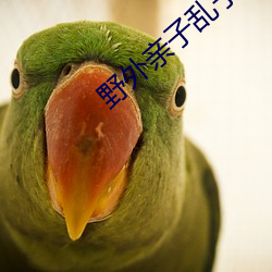 野外(外)亲(親)子(子)乱子伦视频