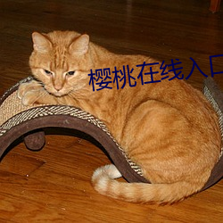 樱桃在线入口 （强项）