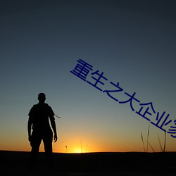重生之大企业家
