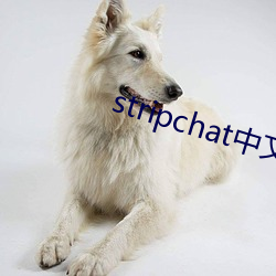 stripchat中(中)文(文)版