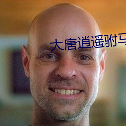 大唐逍遥驸马爷