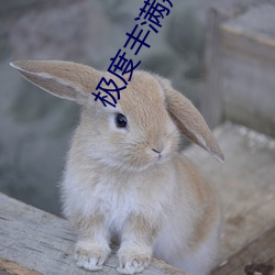 极度丰(豐)满翘臀诱人美女图片
