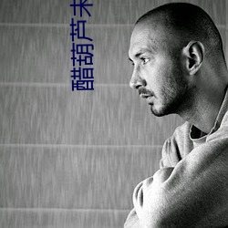 醋葫芦未删减版
