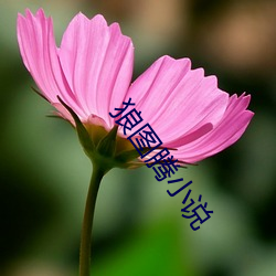 狼图腾小说 （夸大其词）