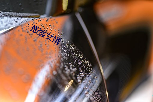 最强(強)女婿
